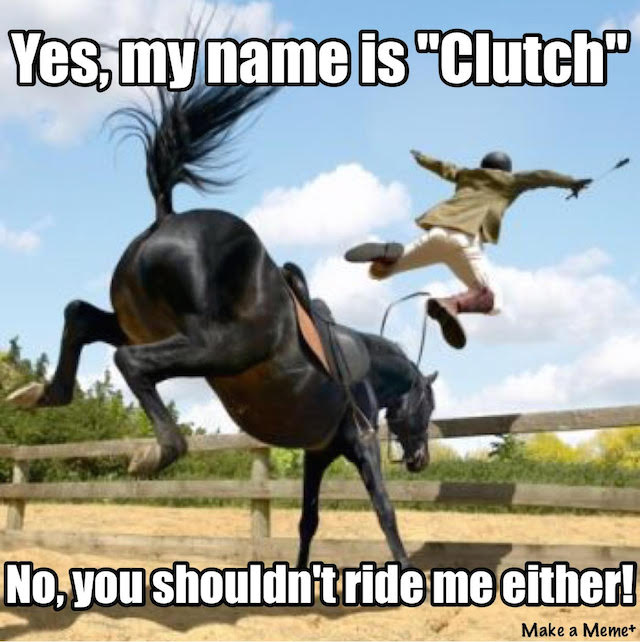 horse named clutch