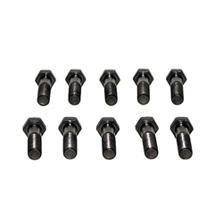 CRP200-F Flywheel Mounting Bolt Kit: M12-1.25 x 48mm - set of 10